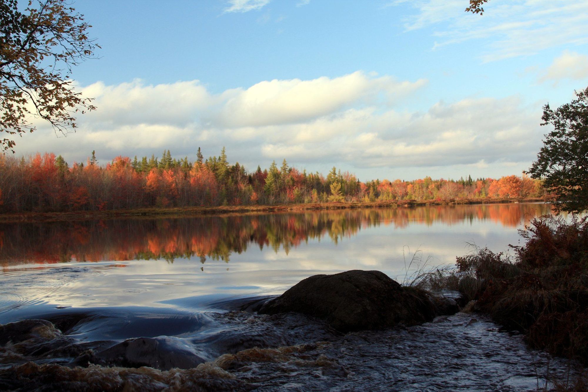 Trout Point Lodge Of Nova Scotia East Kemptville Kemudahan gambar