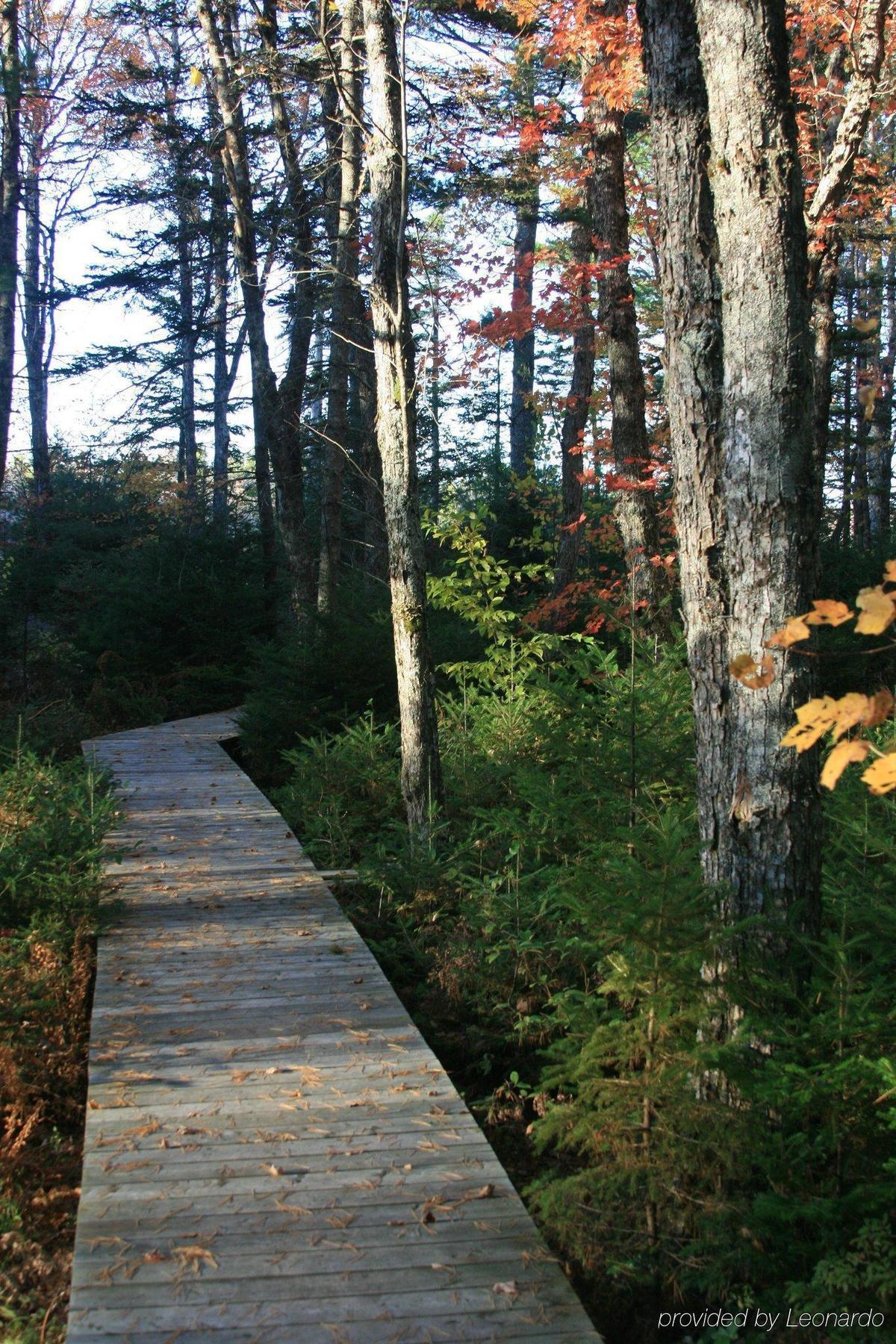 Trout Point Lodge Of Nova Scotia East Kemptville Kemudahan gambar