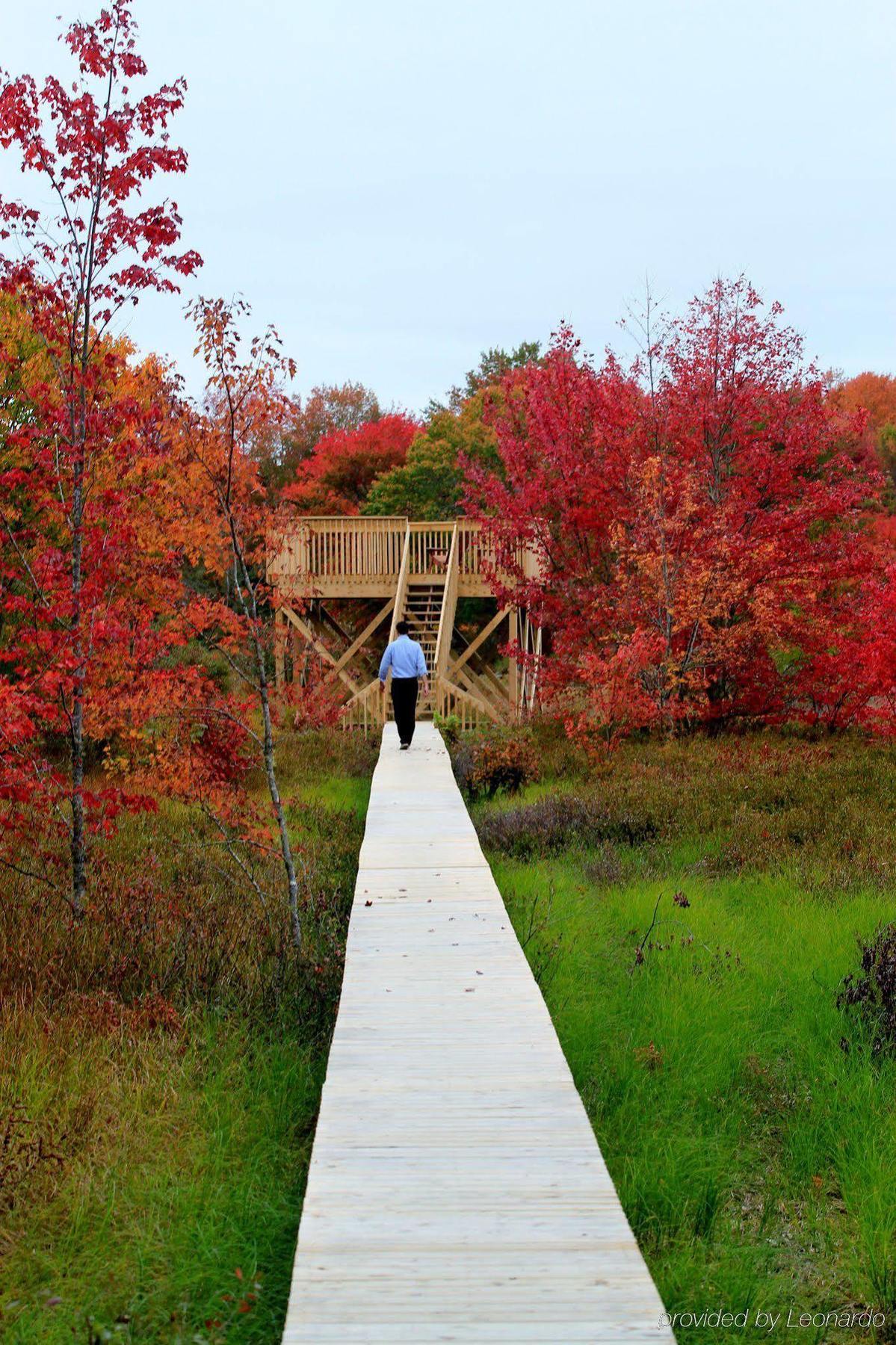 Trout Point Lodge Of Nova Scotia East Kemptville Luaran gambar