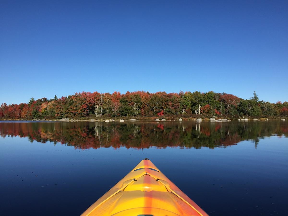 Trout Point Lodge Of Nova Scotia East Kemptville Luaran gambar