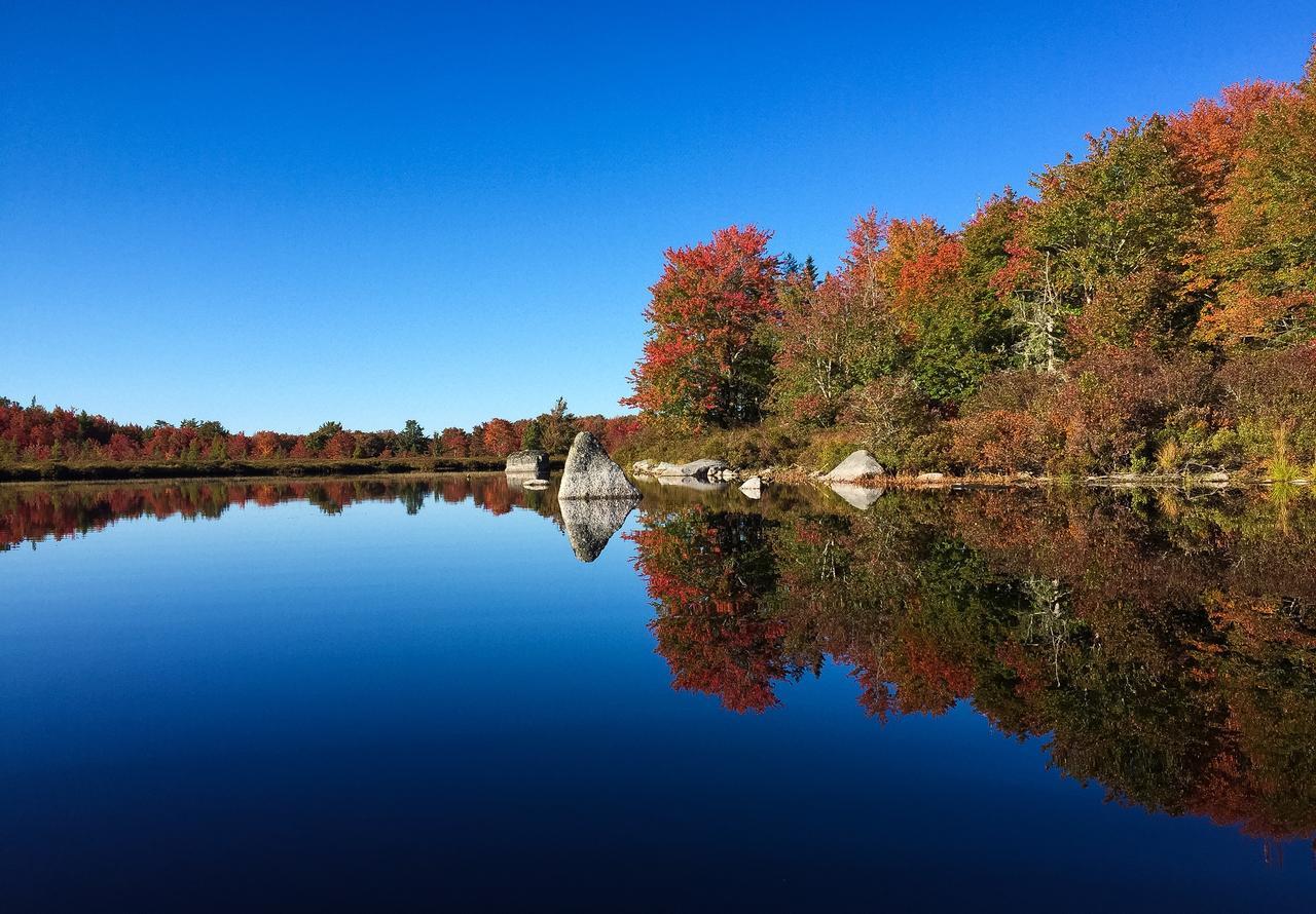 Trout Point Lodge Of Nova Scotia East Kemptville Luaran gambar